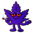 B3RNT1 Mascot